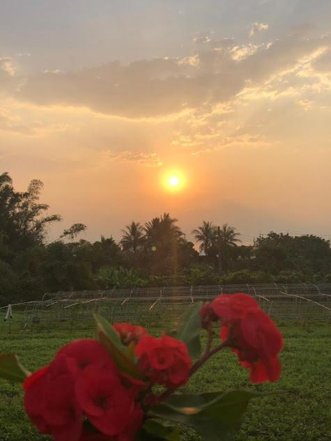 Canaan Beauty Farm B&B Chenggong Exterior photo